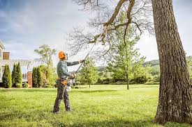 Best Utility Line Clearance  in Markham, IL