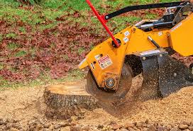 Best Tree Health Inspection  in Markham, IL