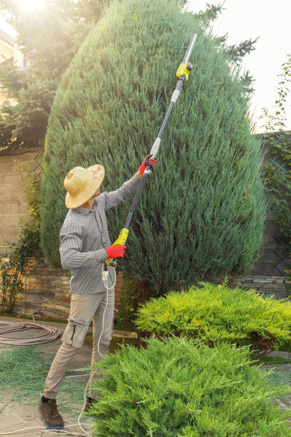 Best Firewood Processing and Delivery  in Markham, IL